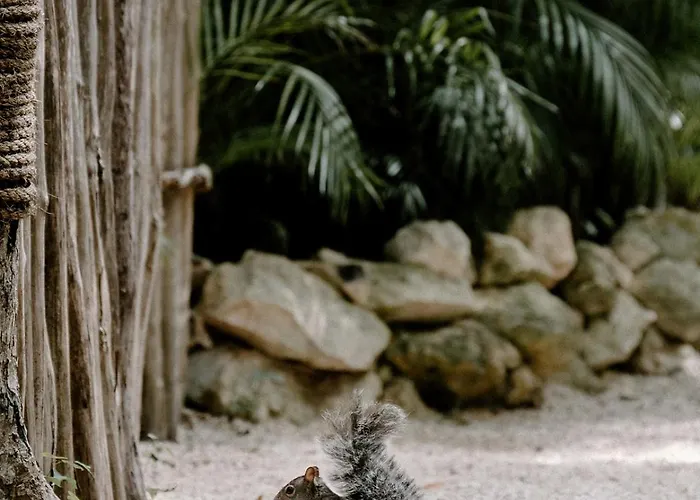 Bardo - Adults Only 5* Tulum